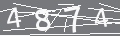 capsa